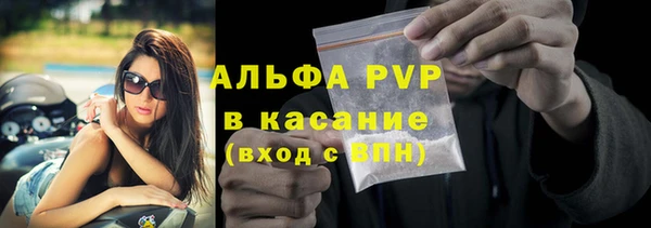 молекула духа Белоозёрский