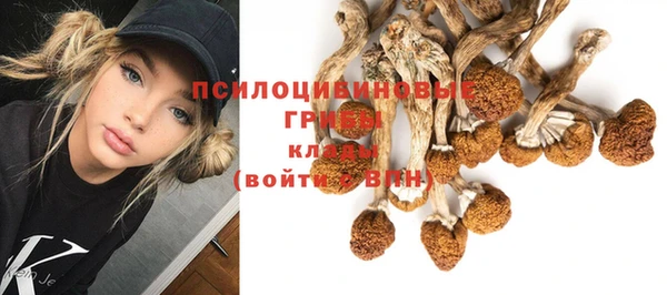 молекула духа Белоозёрский