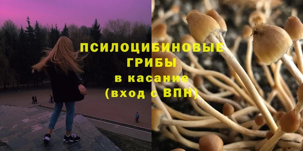 молекула духа Белоозёрский
