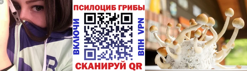Псилоцибиновые грибы Psilocybine cubensis  Кемь 